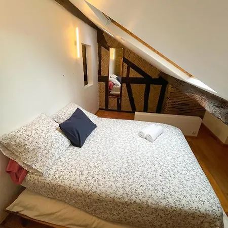 Le Pommeraye : Duplex Hyper Centre Apartment