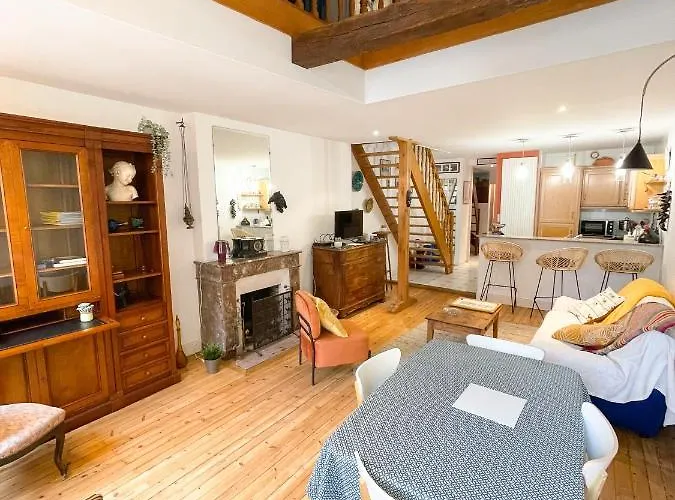 Le Pommeraye : Duplex Hyper Centre شقة نانت