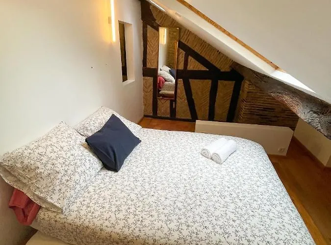 Le Pommeraye : Duplex Hyper Centre شقة